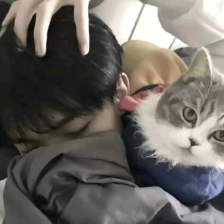 ᝰꫛ星辰ꫀꪝ.