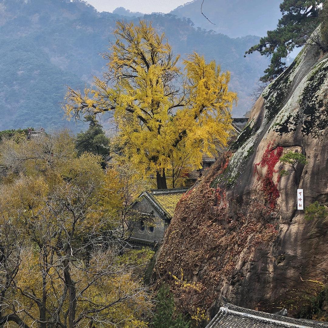 四十不惑闯江湖