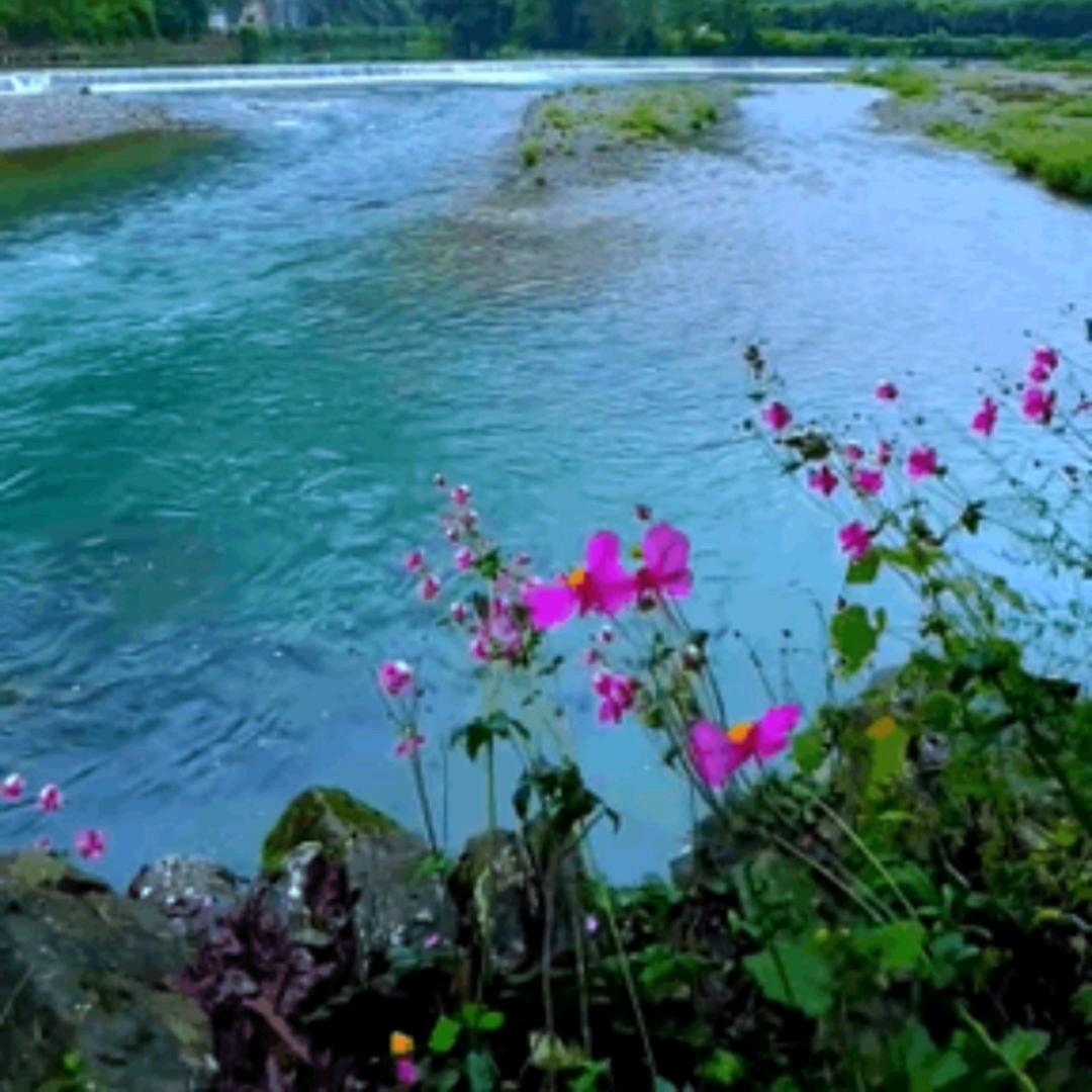 做事不带脑子的人