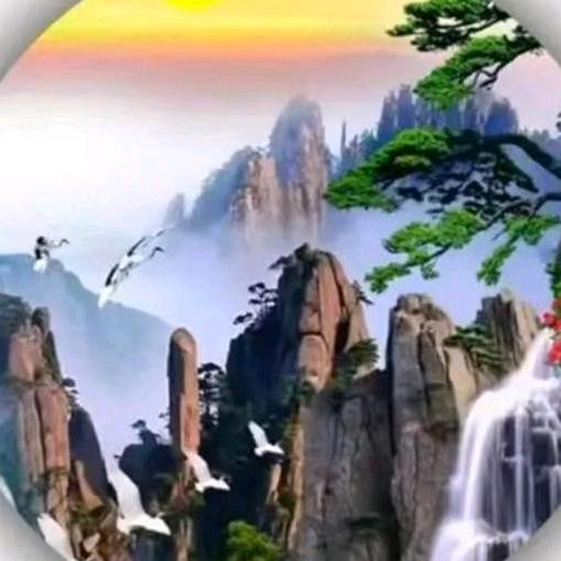 长丰草莓科技站（张）