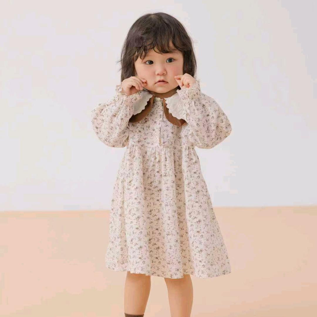 不爱淑女爱欢喜