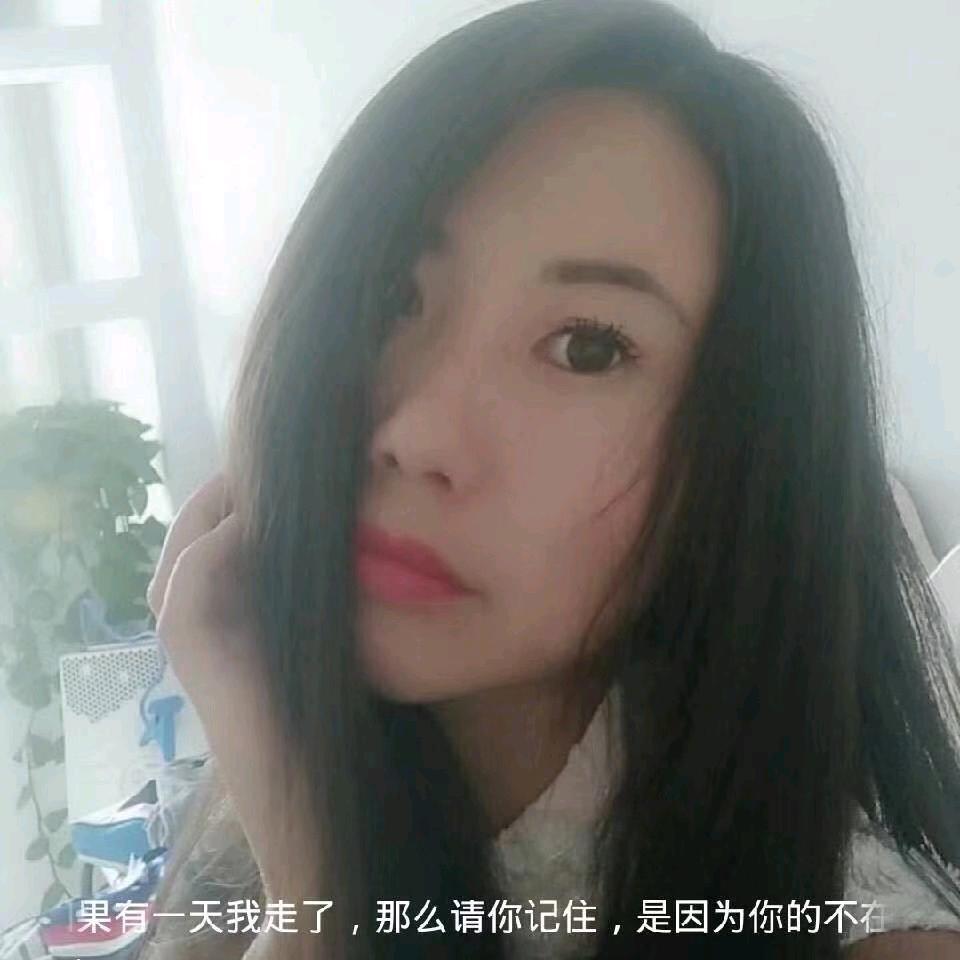 铲屎官先生