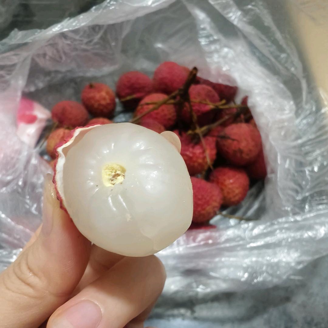 顺荔