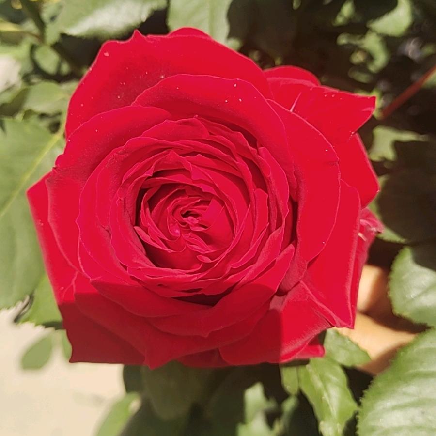 宝贝乖乖🍎拒绝连赞😊