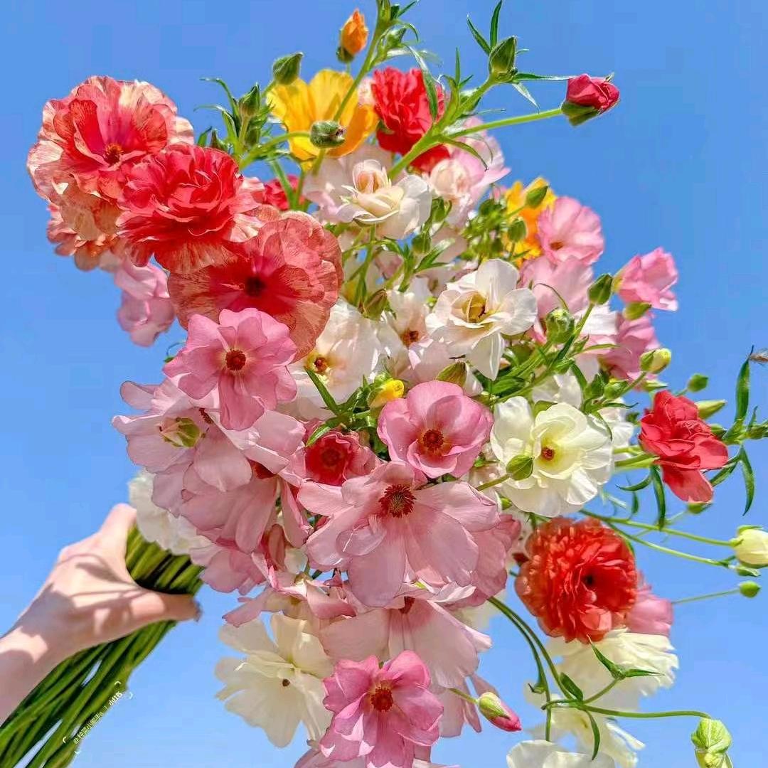 💖付+付得张💗