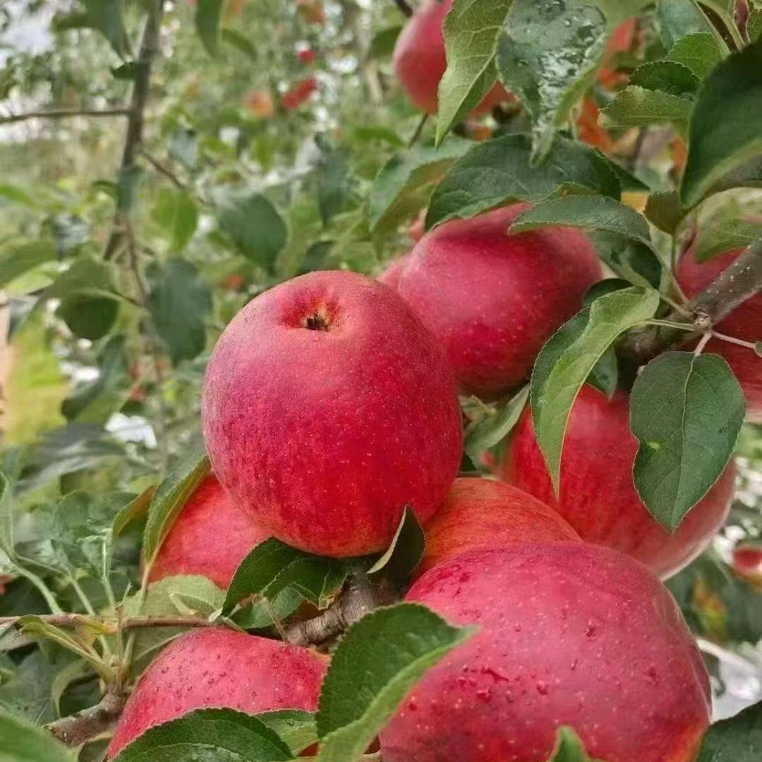 🥀余生💓爱自己🥀