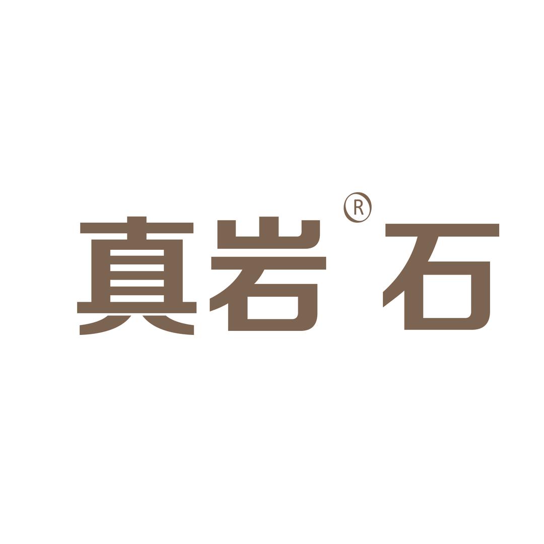 真岩石（北京）科技有限公司