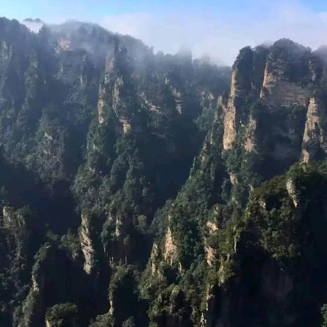 玉米小麦的搬运工