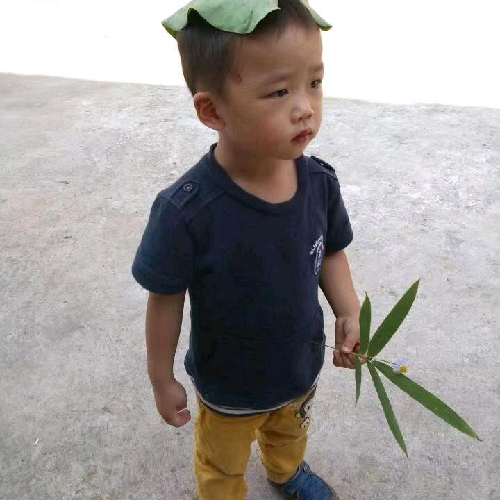 蓝兔麻麻