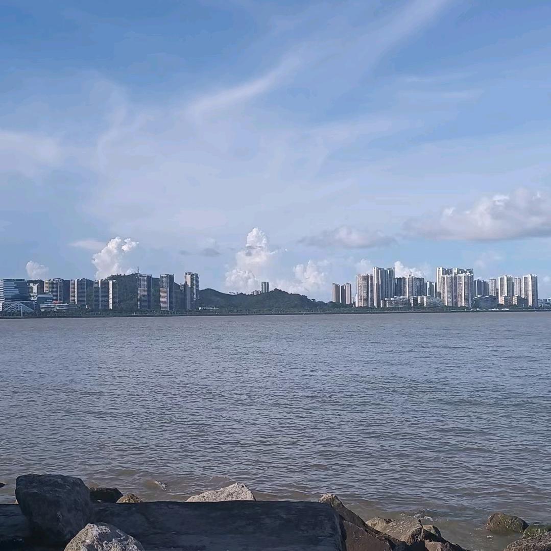 酒酿小鱼干儿🐟/