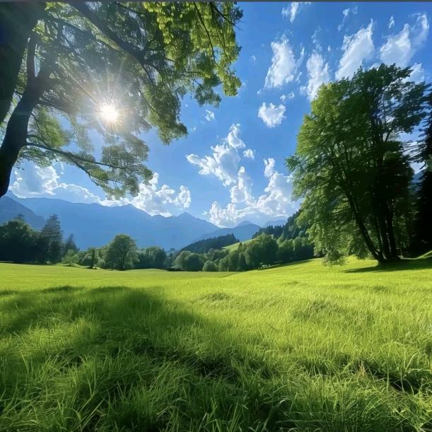 华珍东北木耳特产店