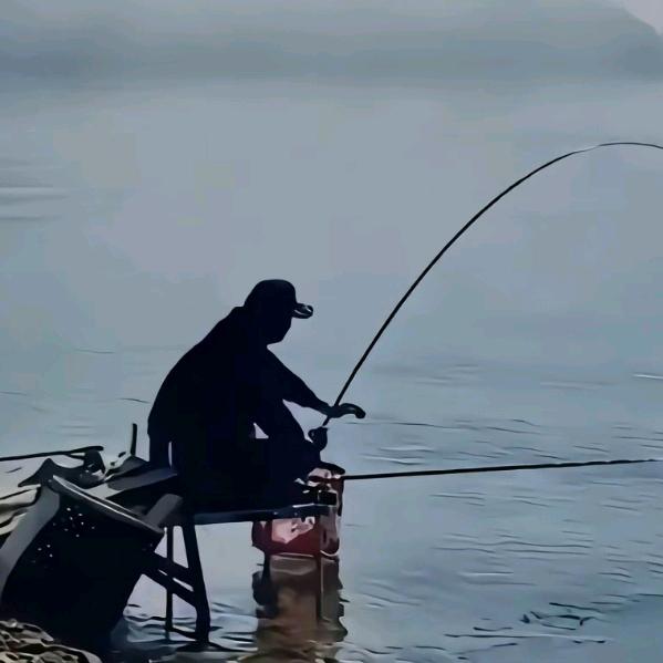 寒江🐟孤影-彬哥