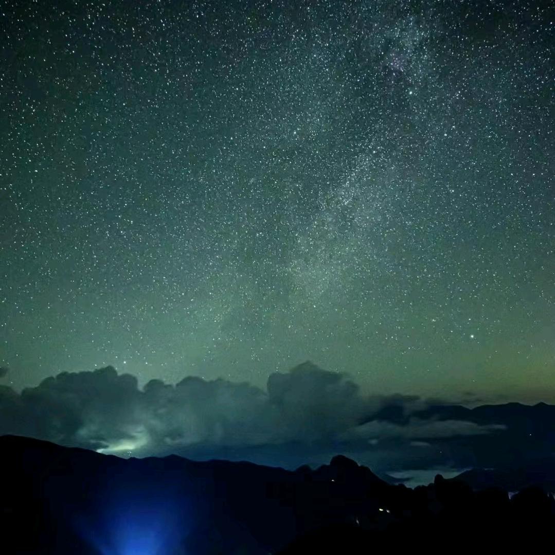 黑叶落星
