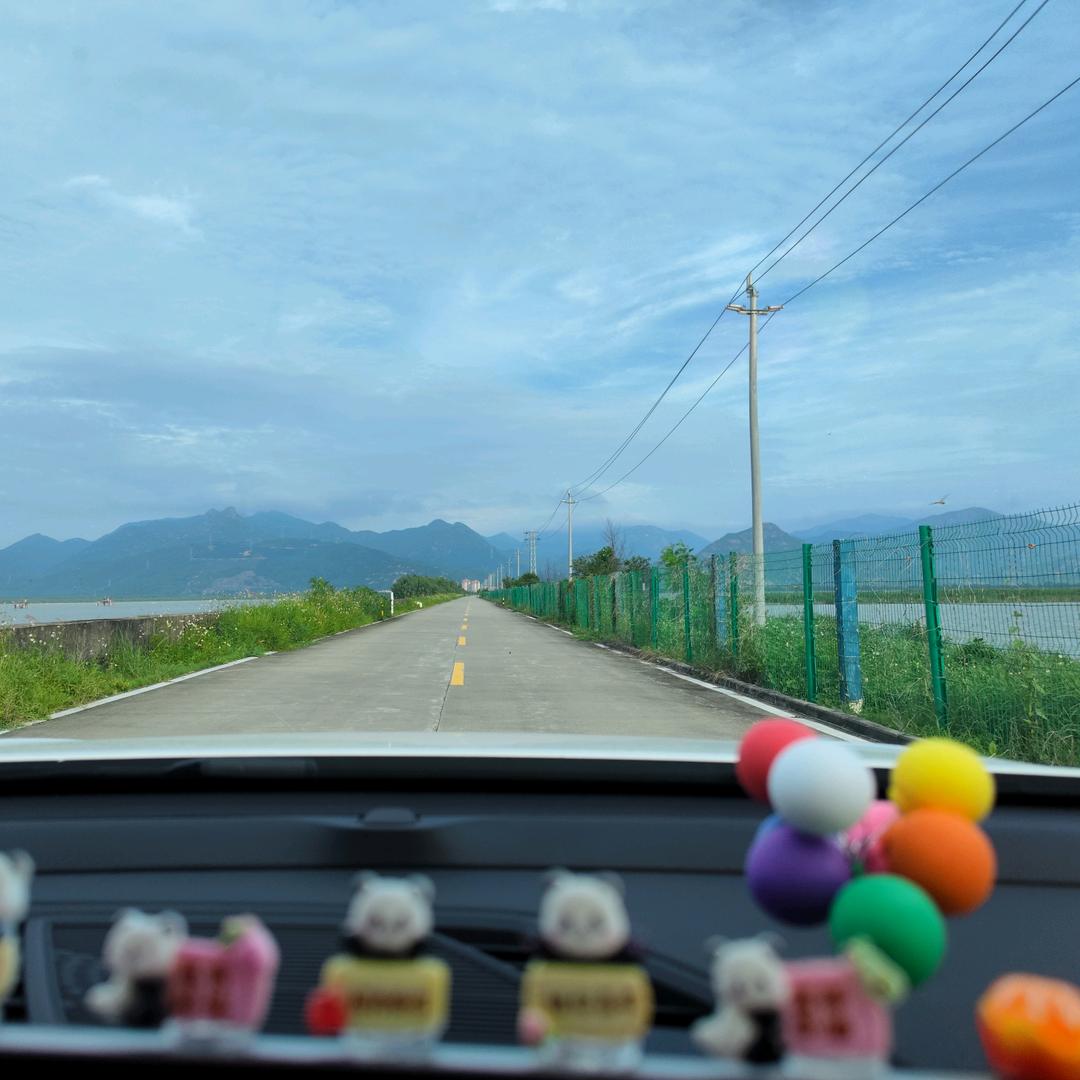 七堡新会陈皮果农-啊程