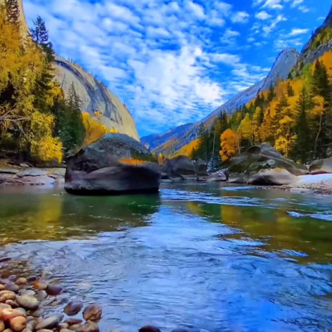 㱏②玐亰　　　　　　　　  　   🪳