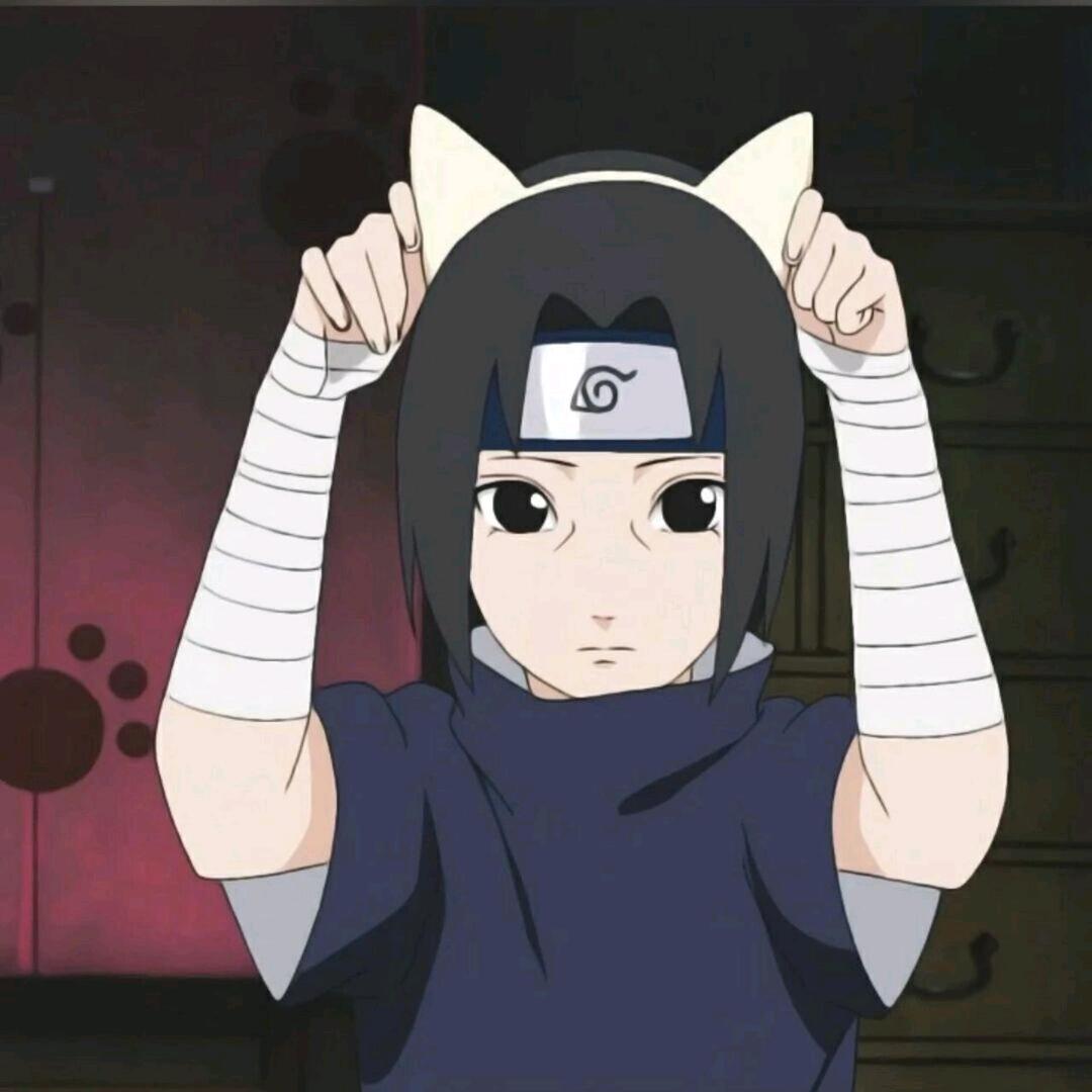 酷猫