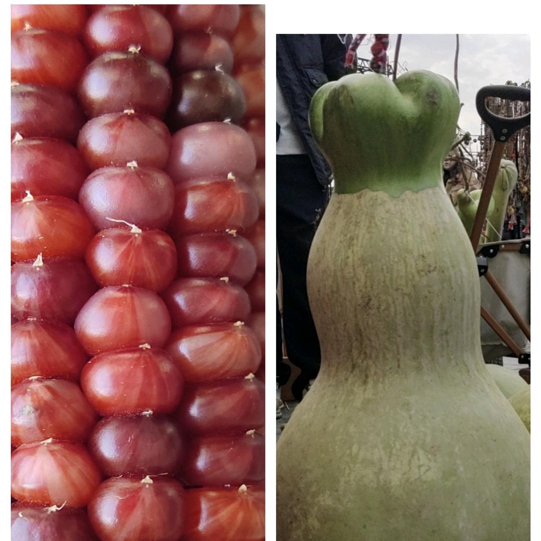 掌间雅物优品店