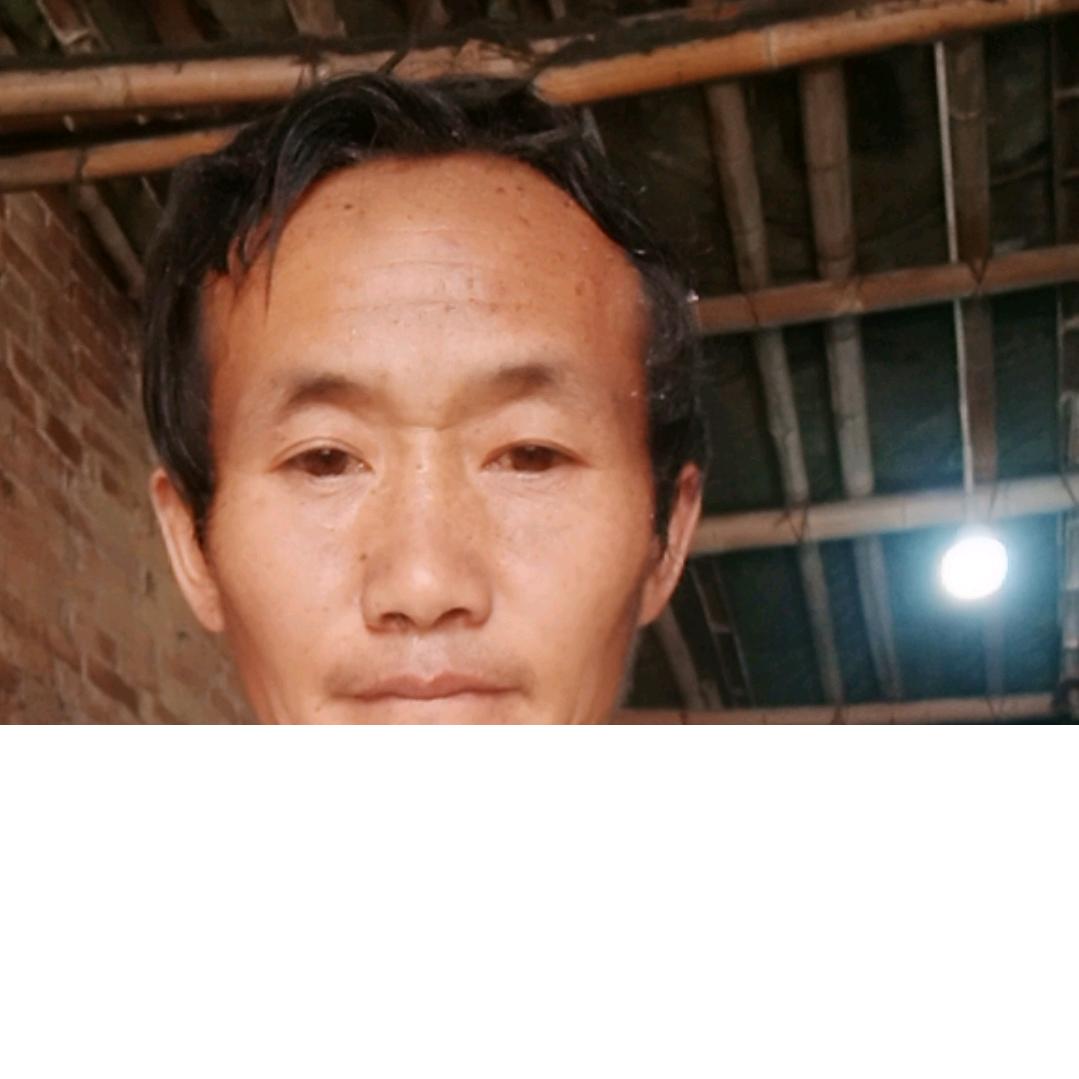 杨后军