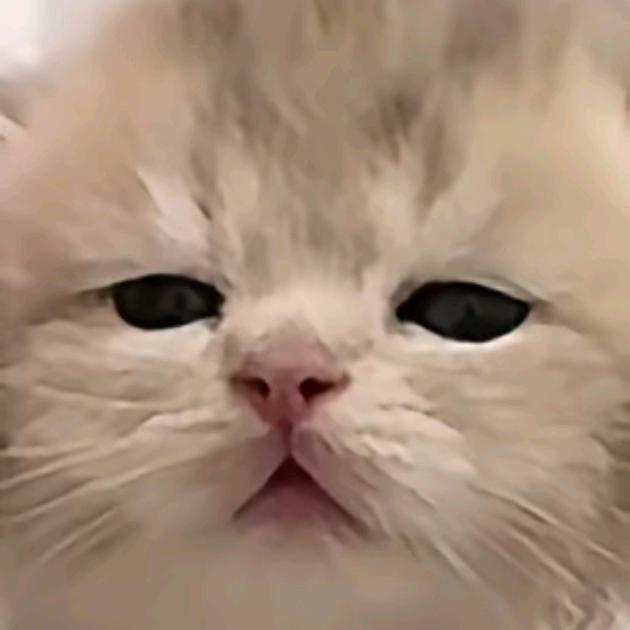 九十九个星月夜