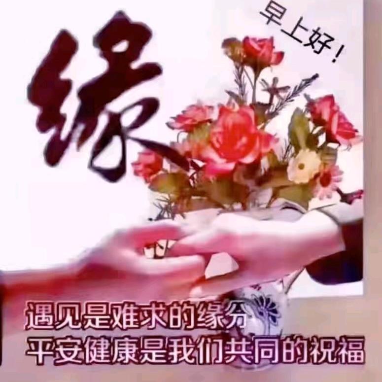 孤独的🐺