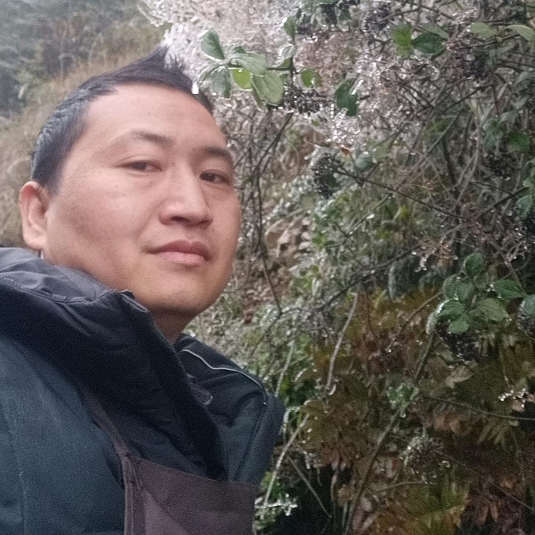 舒少