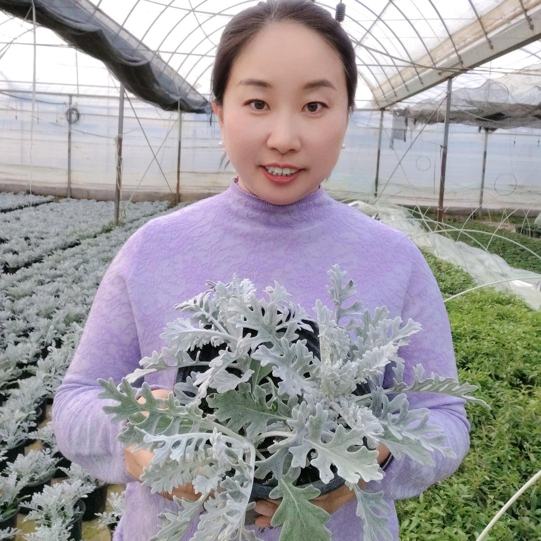 花憨子