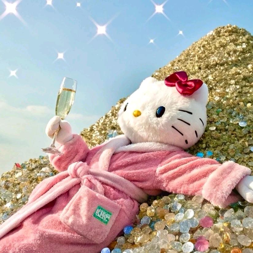 我是小陶爱改造