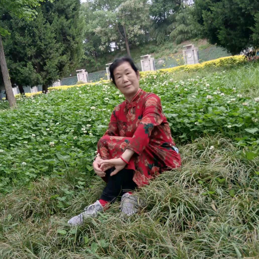 迎春来🧚‍♀️