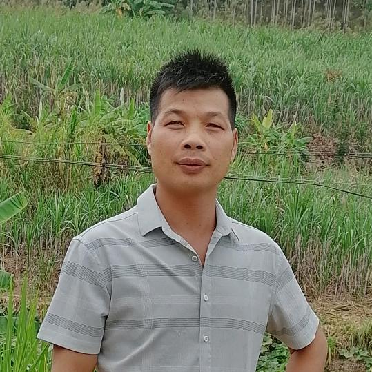 东哥H