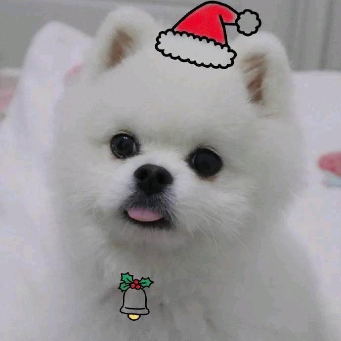 🌦🌧⛈️🌩☃️