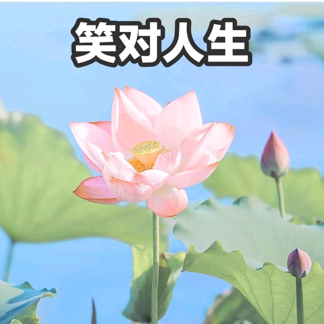 极速版笑对人生