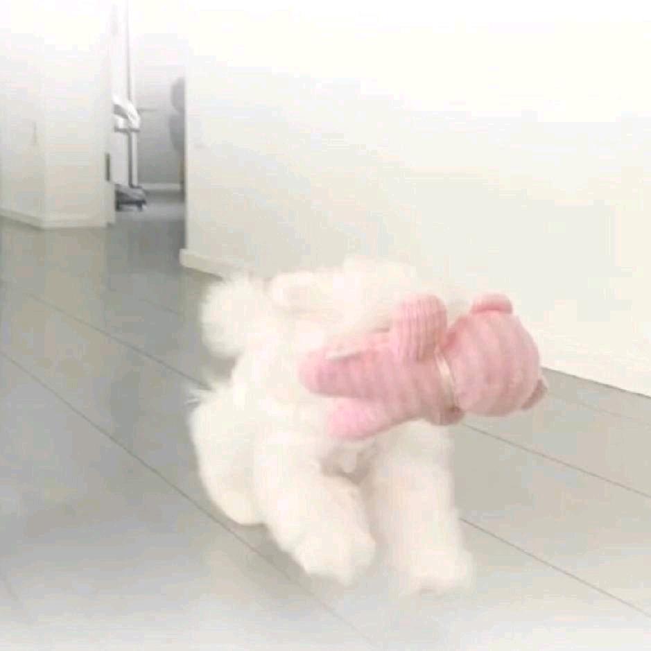 Nnnn