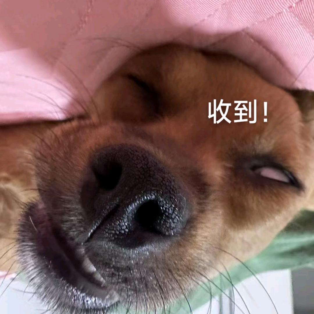 二八花生酱嘴子哥