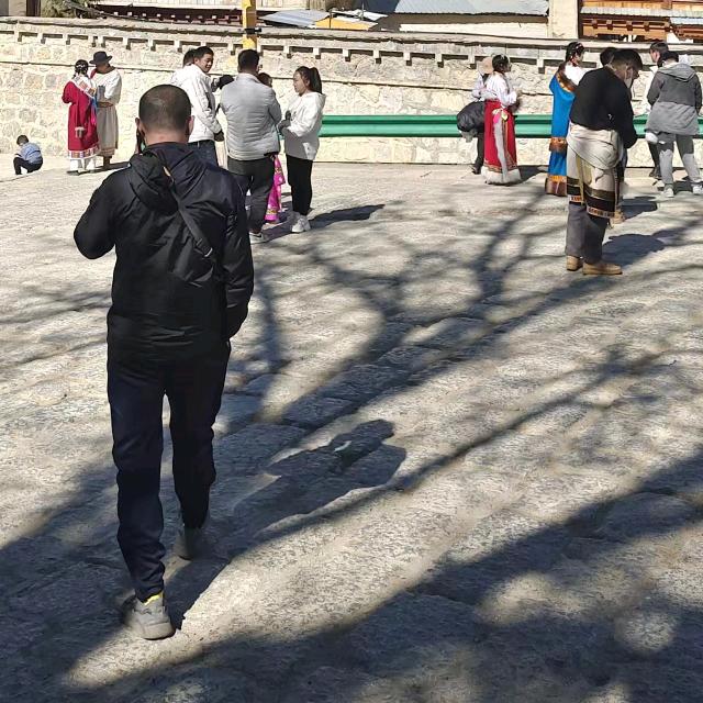 添添向上🇨🇳