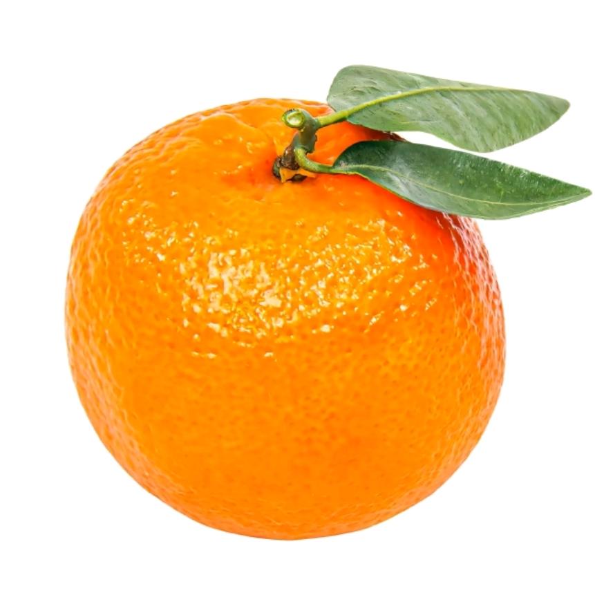 ✨三岁爱吃橘🍊✨