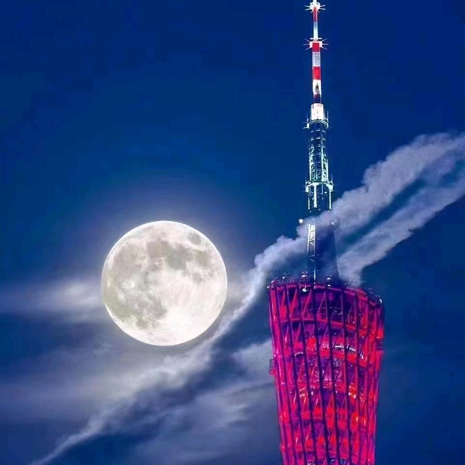 菲菲菲菲