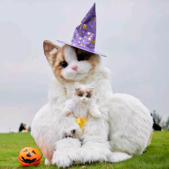猫猫教主