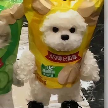 06每天发疯