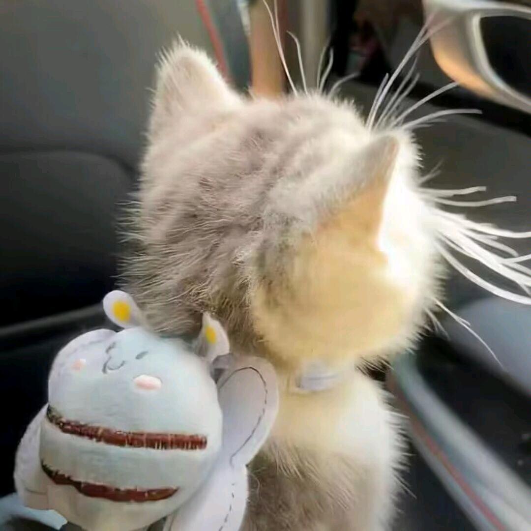 成功