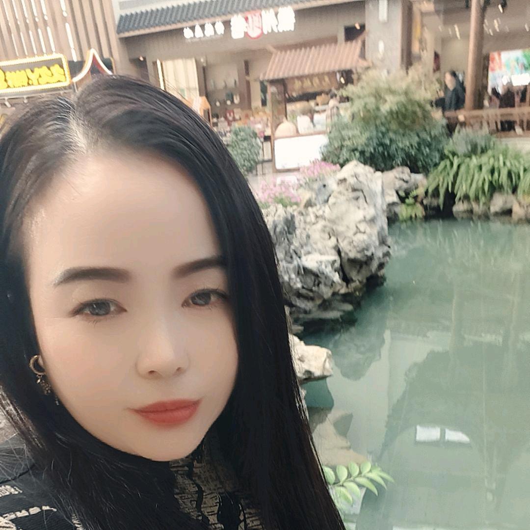 菊🌸🌸