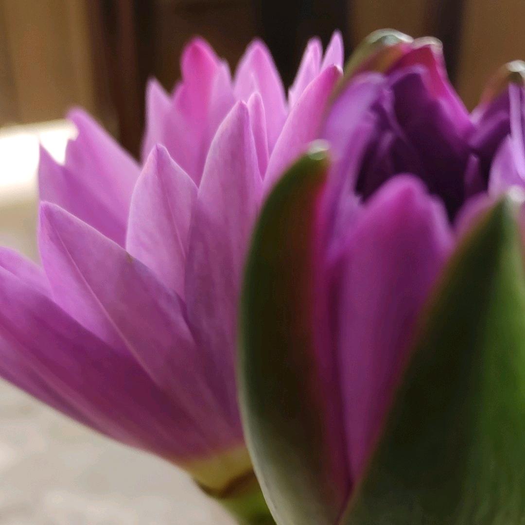 71517293106阿珍