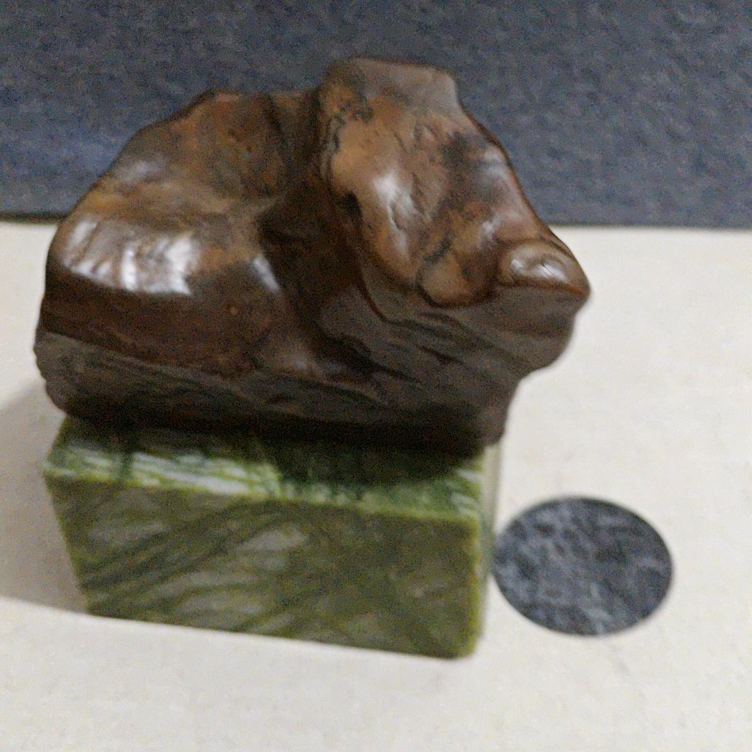 沧海一声笑（中石）