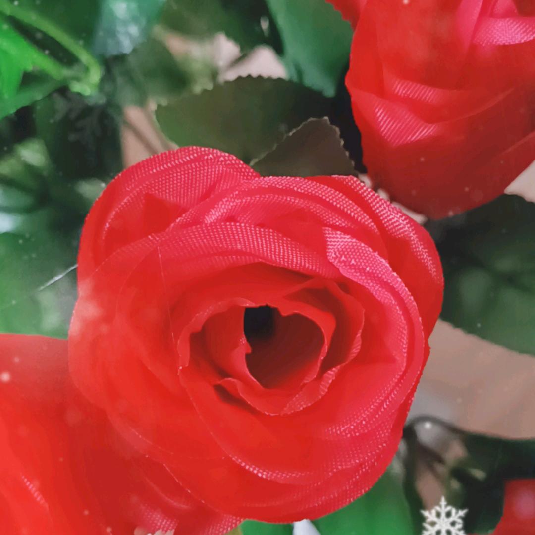注销
