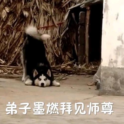 成美