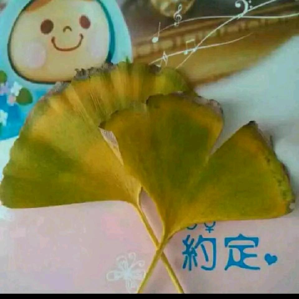 一阵清风
