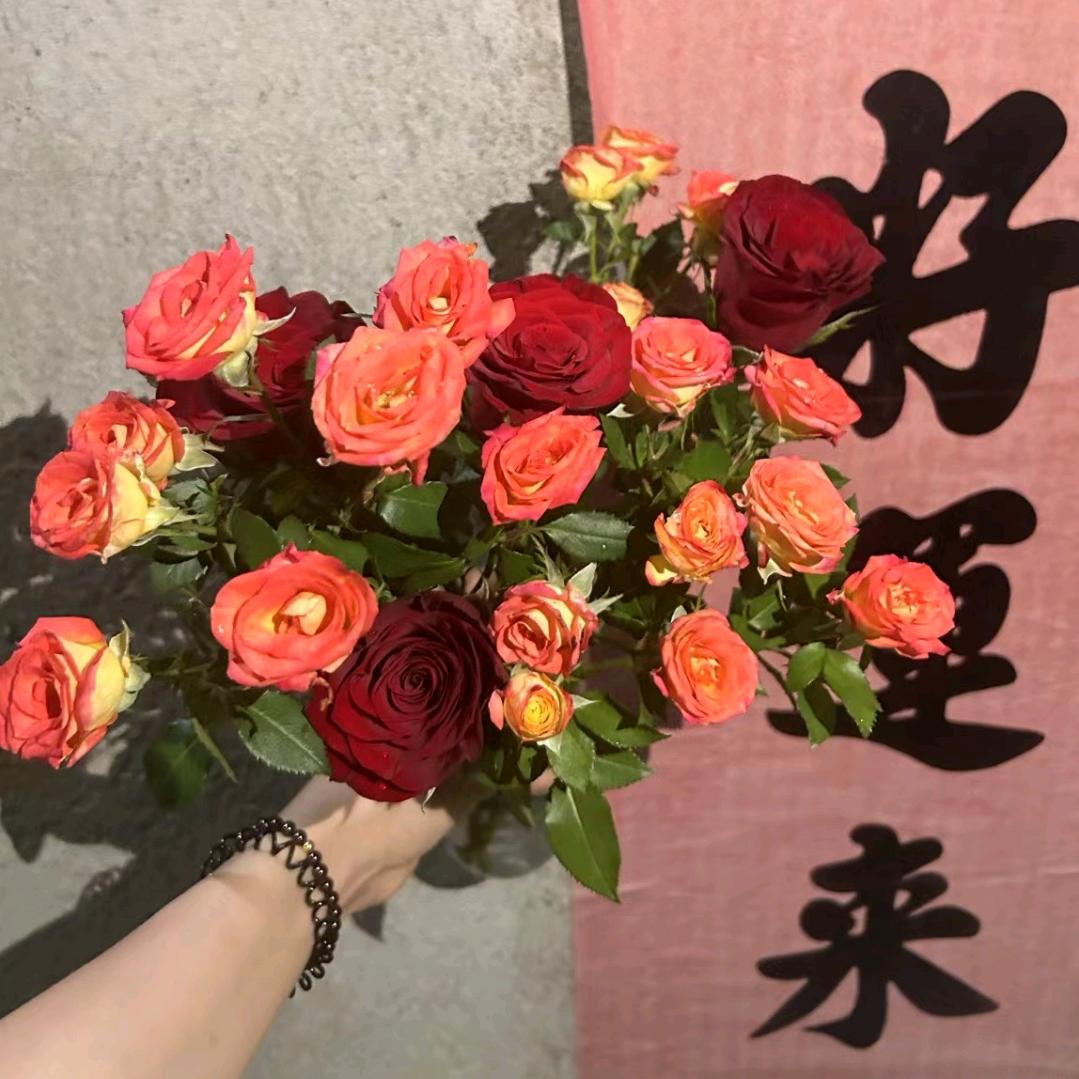 玛琳菲森💫