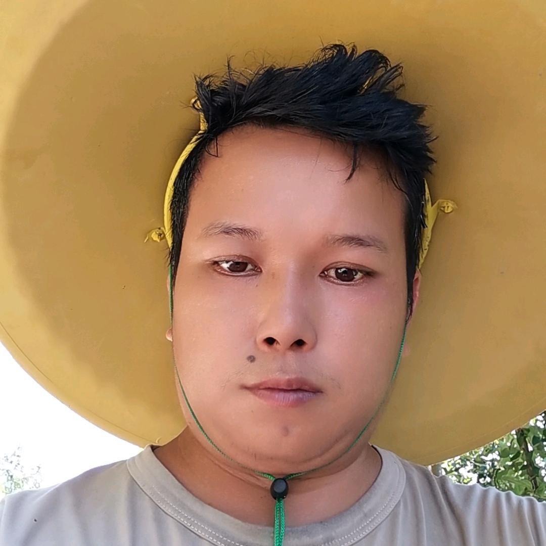 虫虫大作战