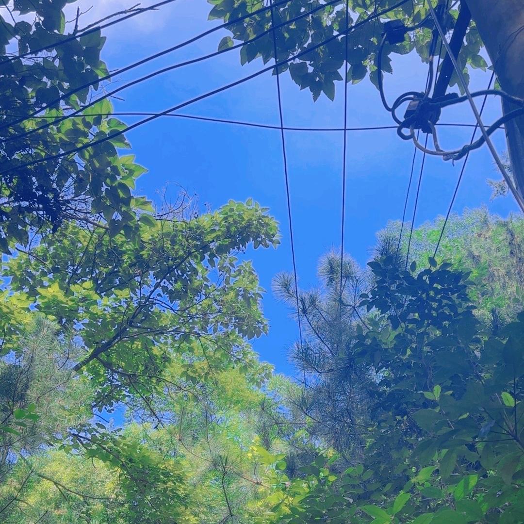 天天开心花