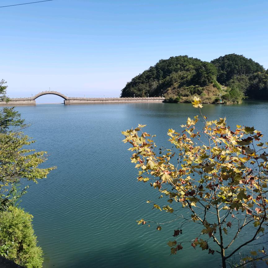 勿  扰