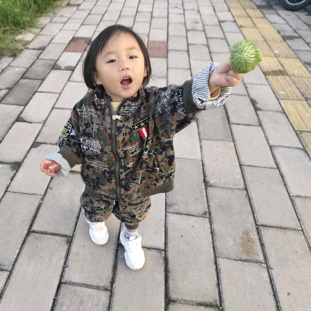 厨子与绿鲤鱼与驴🛡️